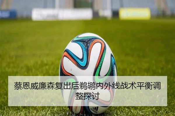 蔡恩威廉森复出后鹈鹕内外线战术平衡调整探讨 | jinsha